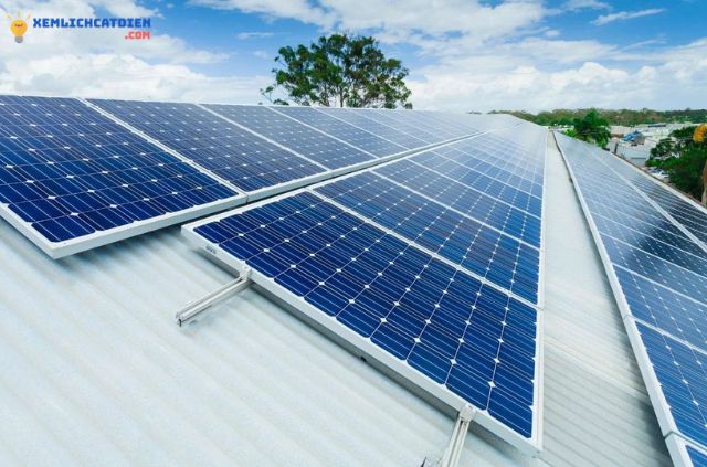 dien-nang-luong-mat-troi-hoa-luoi