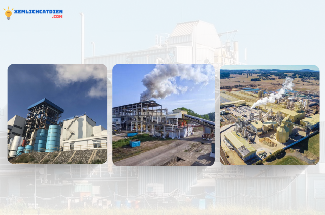 cac-nha-may-dien-sinh-khoi-pho-bien-o-viet-nam