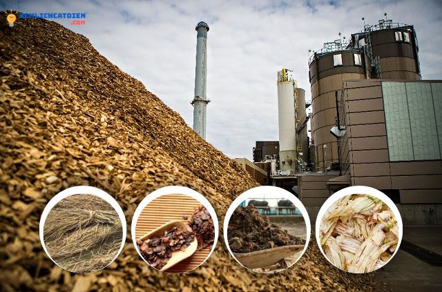 dien-sinh-khoi-la-gi-ua-va-nhuoc-diem